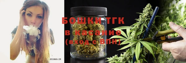 соль ск Алексин