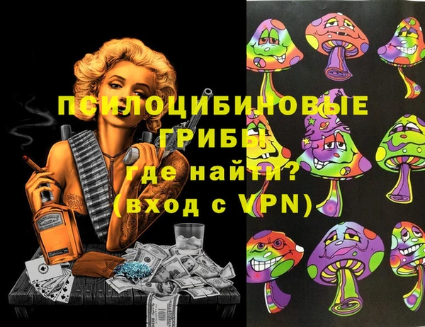 соль ск Алексин