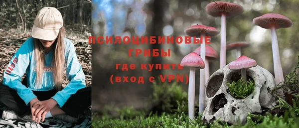 соль курить ск Алзамай