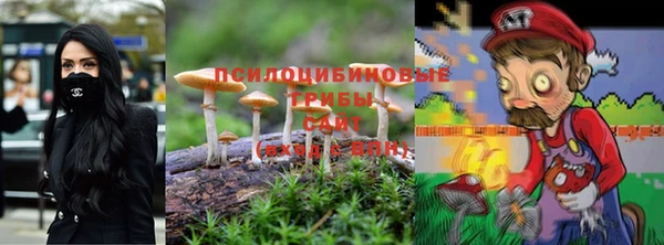 соль курить ск Алзамай