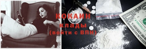 соль ск Алексин