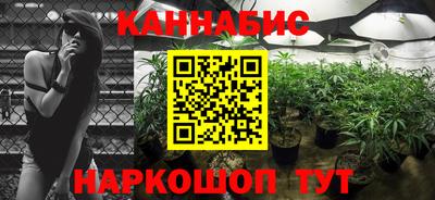 шишки Краснознаменск