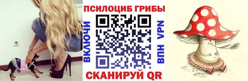 купить закладку Клин Галлюциногенные грибы Magic Shrooms