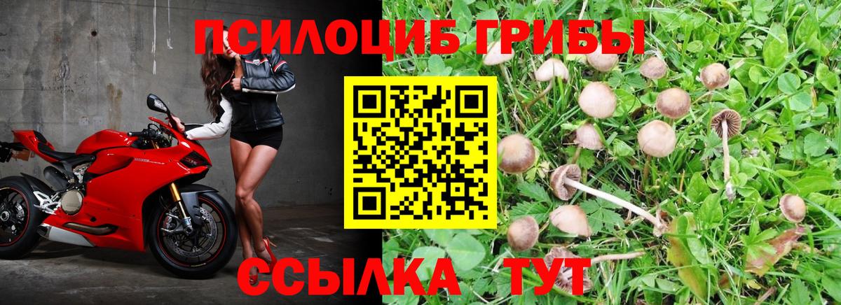 Галлюциногенные грибы ЛСД Клин